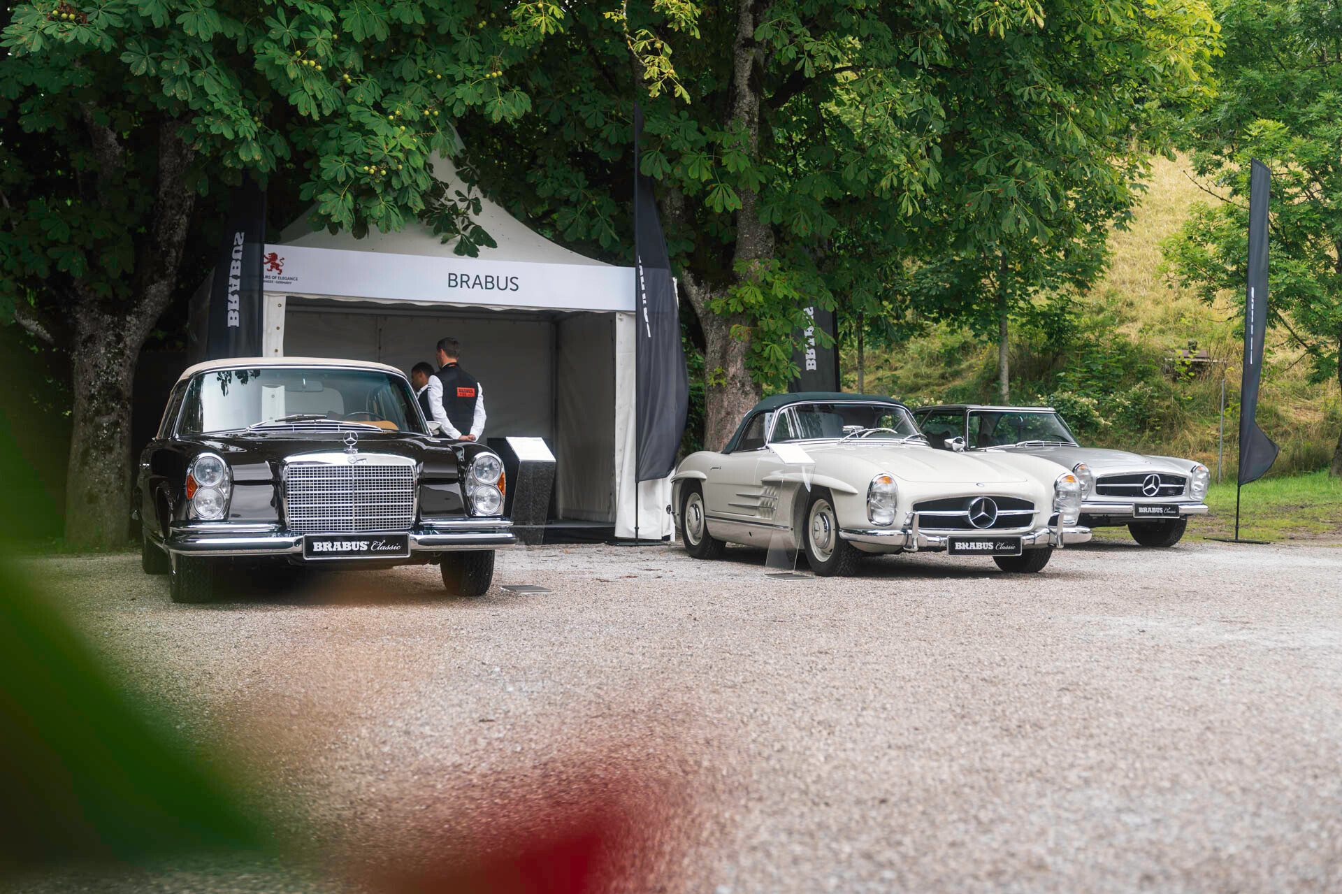 Concours of Elegance